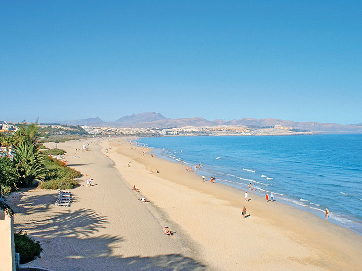 Morasol Atlantico 4